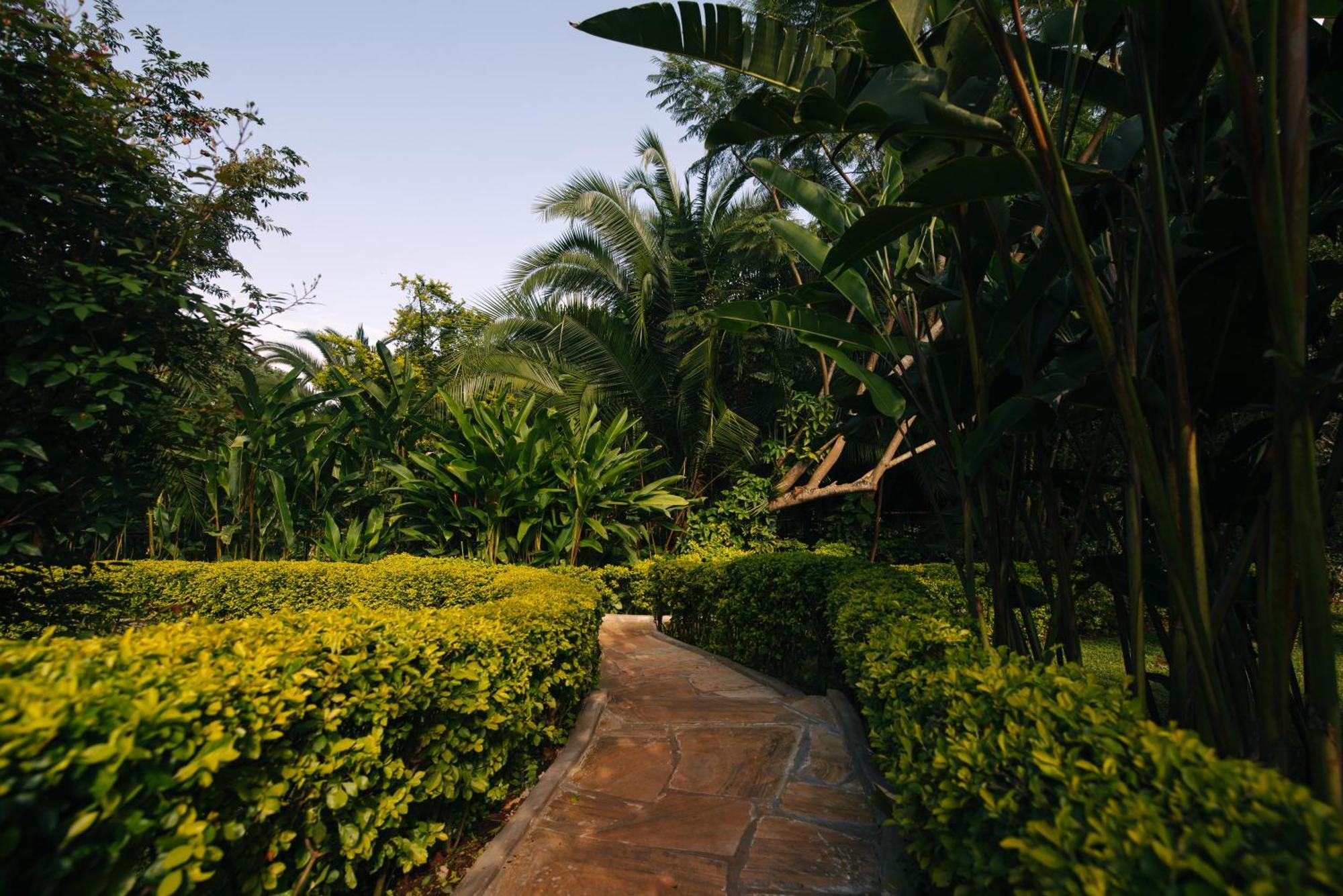 Aishi Machame Villa Moshi Exterior foto