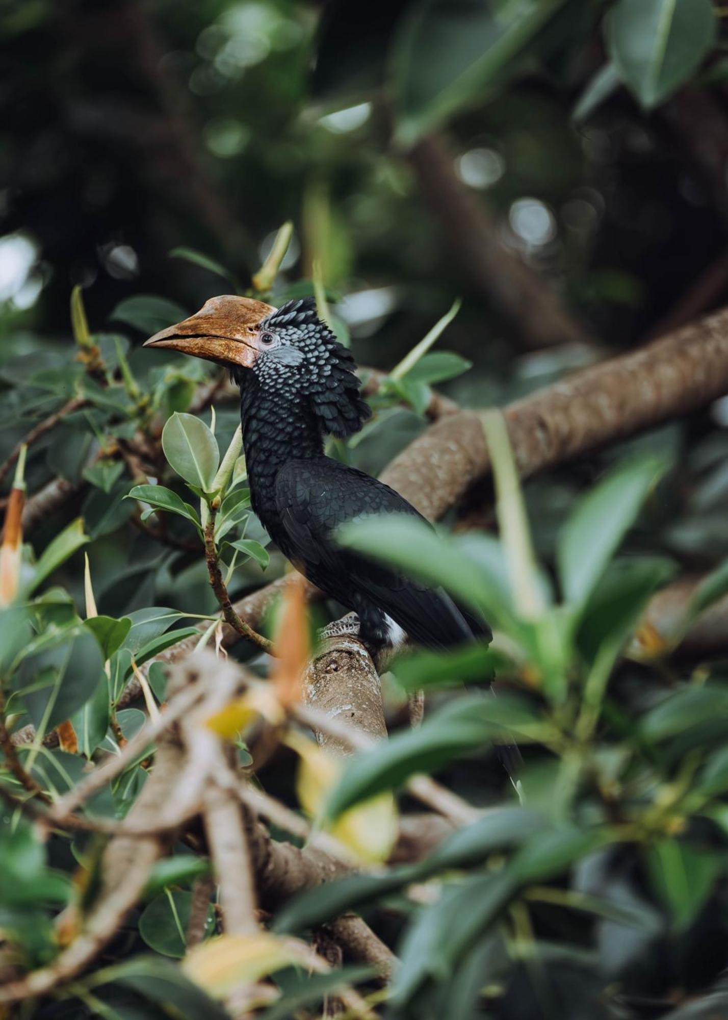 Aishi Machame Villa Moshi Exterior foto