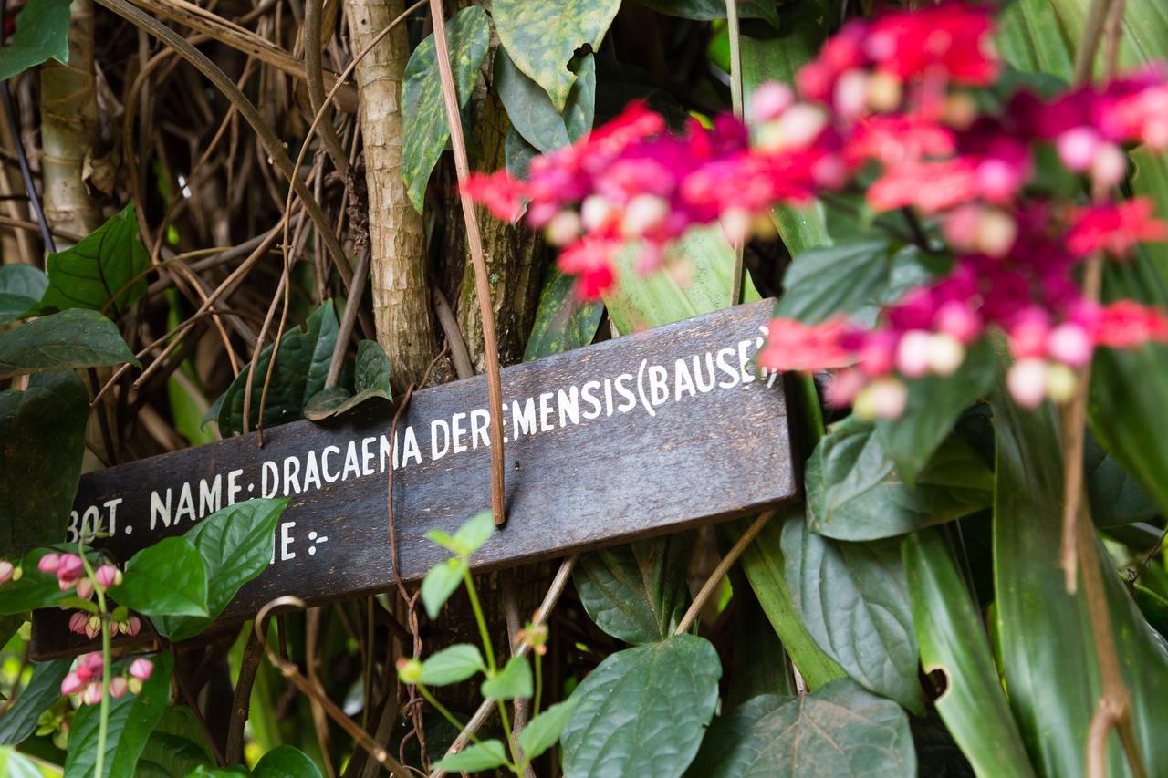 Aishi Machame Villa Moshi Exterior foto